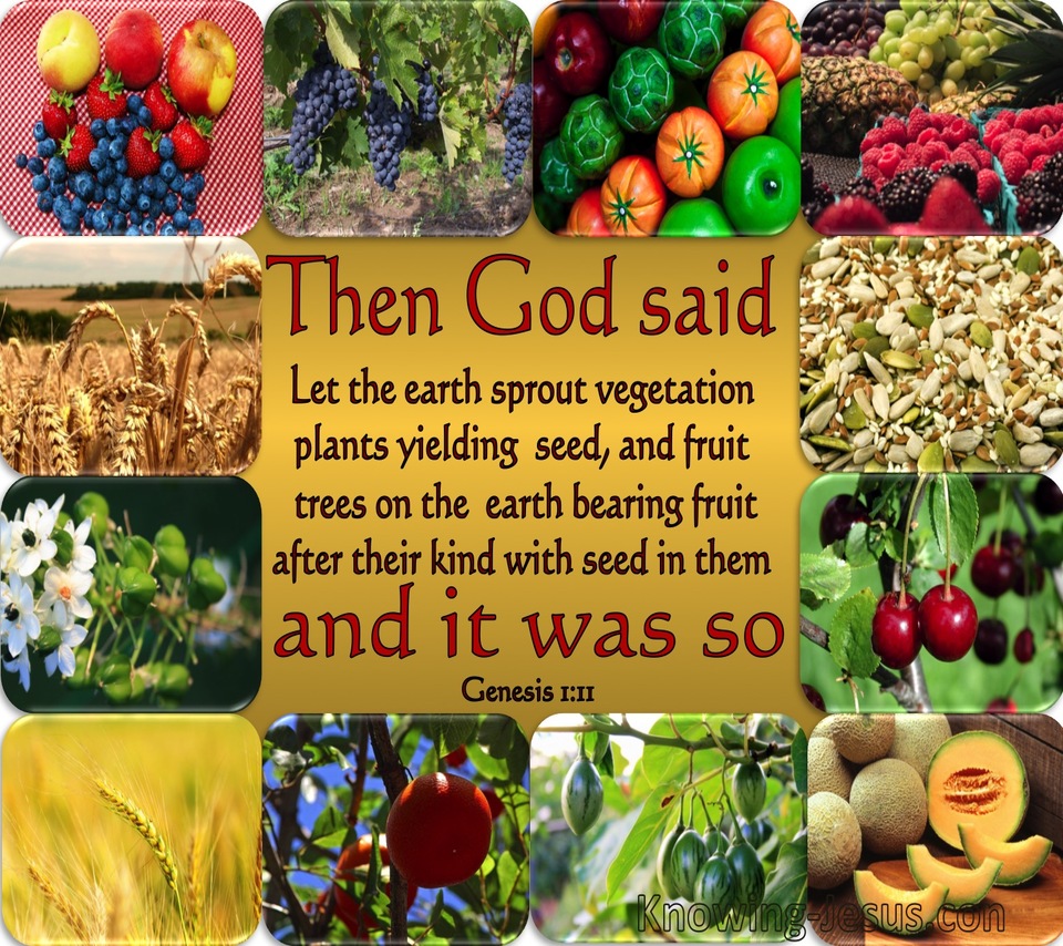 Genesis 1:11 Let The Earth Sprout Vegetation (gold)
